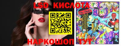 2c-b Кингисепп