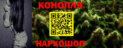 2c-b Кингисепп