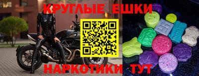 2c-b Кингисепп