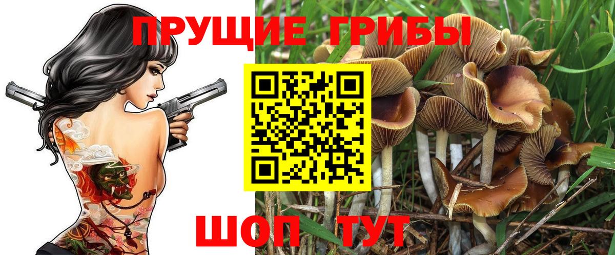 Галлюциногенные грибы MAGIC MUSHROOMS  купить наркотики сайты  Кропоткин  Вход с VPN 